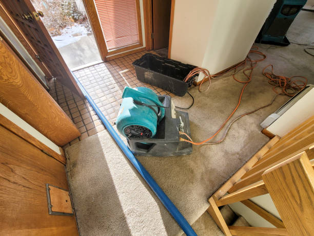 Best Carpet and Upholstery Water Damage Restoration in South Hill, VA