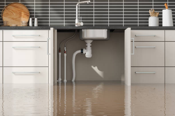 Best Storm and Flood Water Damage Restoration in South Hill, VA